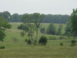 Field in Missouri.JPG